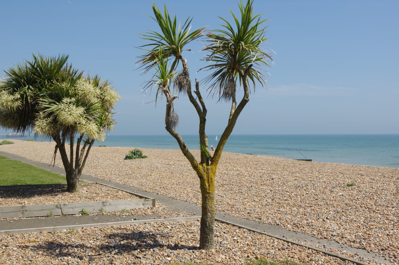 The seafront and promenade at Worthing on the West Sussex coast.